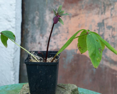 _DSC9873.jpg