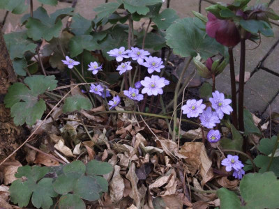 DSCF3628.JPG