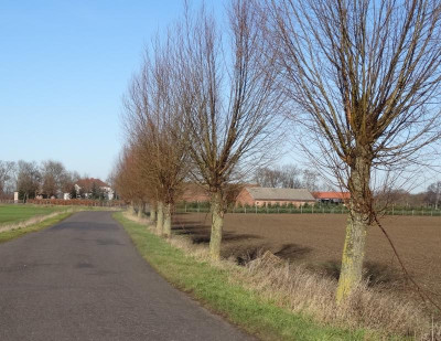weiden02.jpg