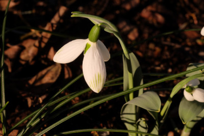 DSCF0988_4414.JPG