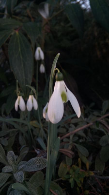 IMG_20200117_151959.jpg