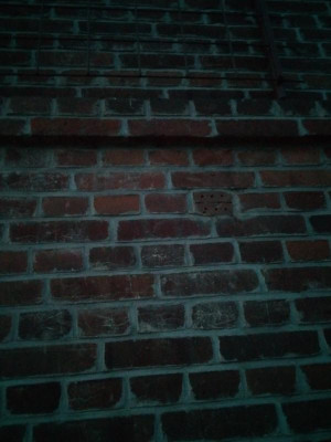 IMG_20200117_164138.jpg