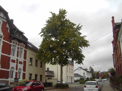 PICT2793.JPG