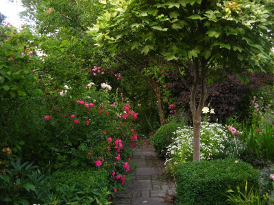 Palmengarten Frankfurt.JPG