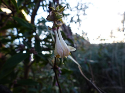 P1020723.JPG