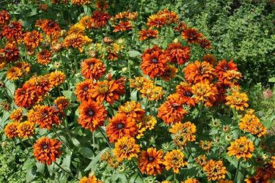 Indian_Summer_I_13.7.-020.jpg