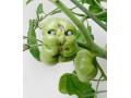 Elis_Tomatenmonster01.jpg
