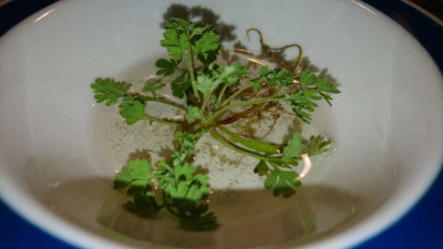IMG-20200123-WA0002.jpg