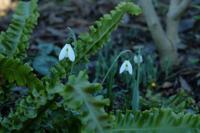 DSCF1052_4431.JPG