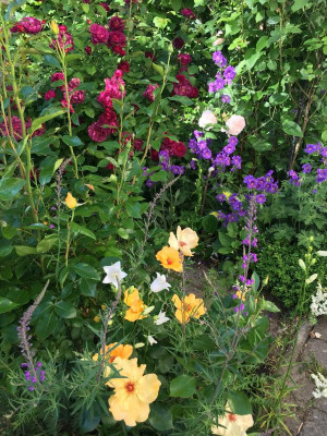 2019-06-03 072.JPG