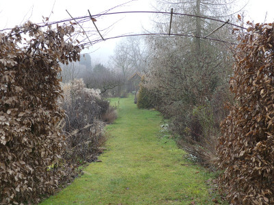 2020-01-26 Garteneinblick 2.jpg