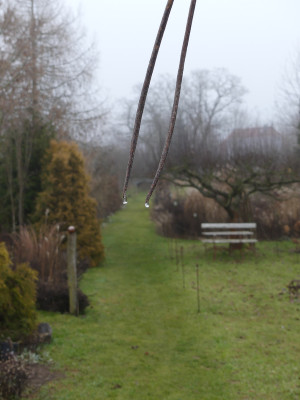 2020-01-26 Garteneinblick 3.jpg