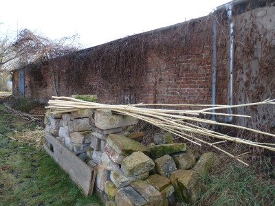 tg_200128.jpg