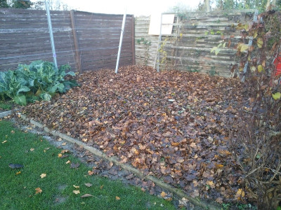 Laubmulch20191130.jpg