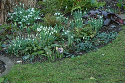 DSCF1164_4453.JPG