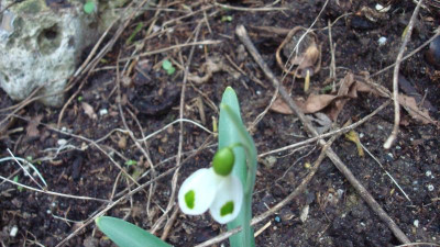 DSC04104.JPG