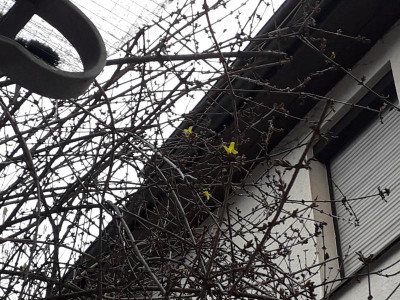 20190131_165351.jpg