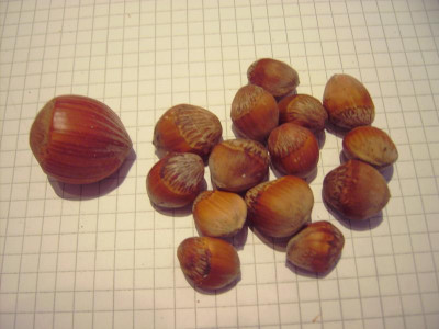 PICT2813.JPG