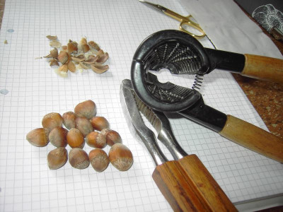 PICT2781.JPG