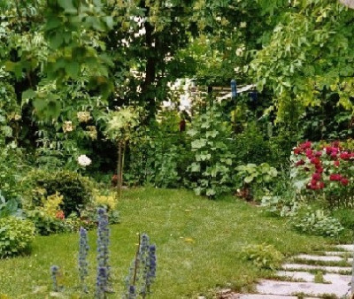 durchblick_kleinengland_juni.JPG