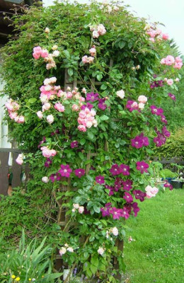 DSCF58533.jpg