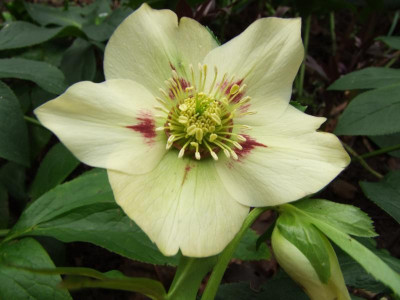 DSCF2054.jpg