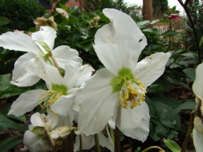 DSCF2058.JPG