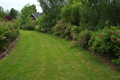 Rundweg.jpg