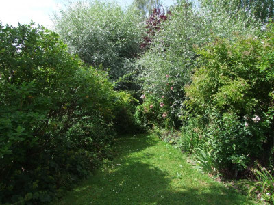 Überlaufteich versteckt.jpg