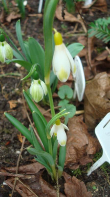DSC04113.JPG