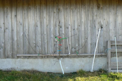 Spalier Gellerts.jpg
