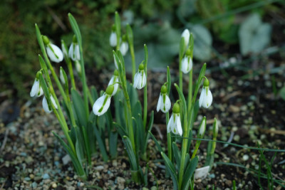 DSCF1277_4480.JPG