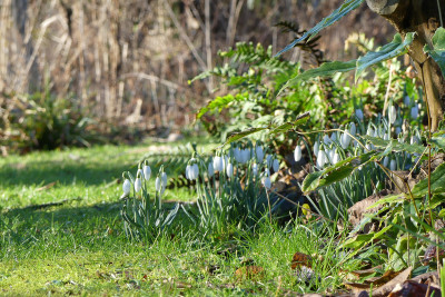 2020-02-05 Gartenimpressionen 8.jpg