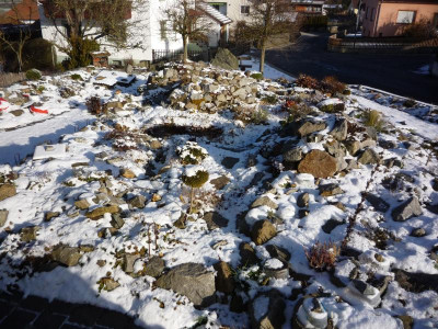 Untere Anlage_06.02.2020.JPG