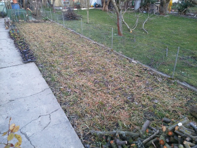 Pratex 200207gewalzt1dsonne.jpg