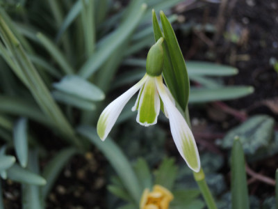 DSCN3824_4509.JPG
