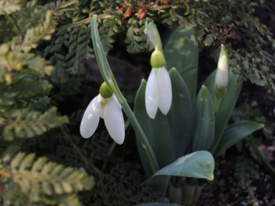DSCN3790_4500.JPG