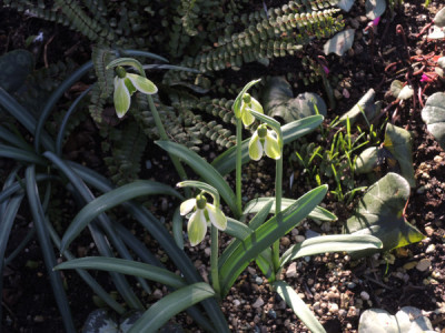 DSCN3769_4494.JPG