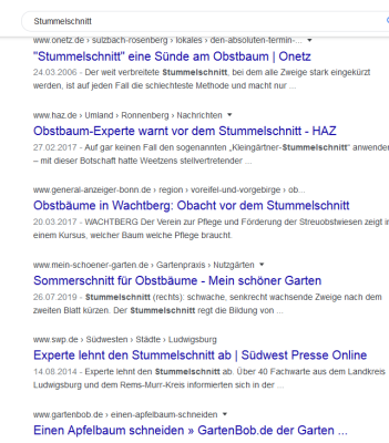 Screenshot_2020-02-09 Stummelschnitt - Google-Suche.png