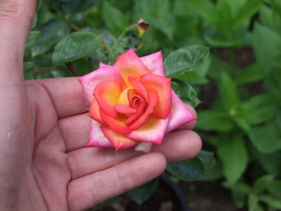 DSCF0654.JPG