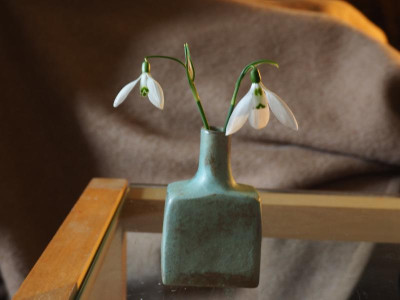 Galanthus nivalis + Galanthus elwesii Lange Nase P2090208.JPG