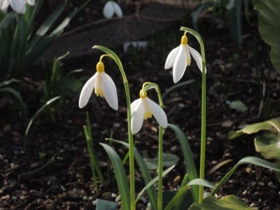 DSCN3874_4520.JPG