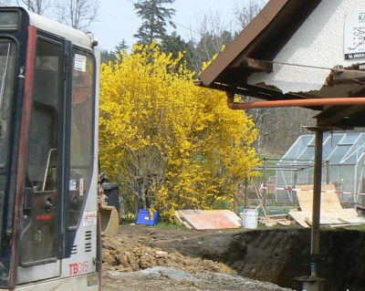 P1010161 (2).JPG