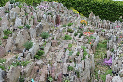 Crevice-Wisley.jpg