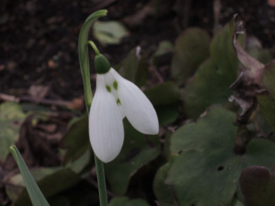 DSCN3900_4529.JPG