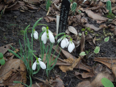 DSCN8257.JPG