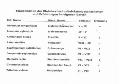 C03 Blutstorchschnabel.jpg