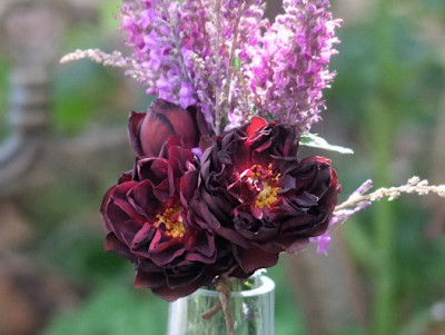 DSCF265.JPG