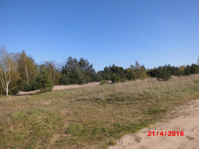 DSCI0227.JPG