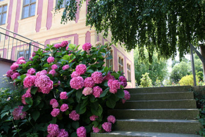 Weihenstephan-Buchsgarten-2.jpg